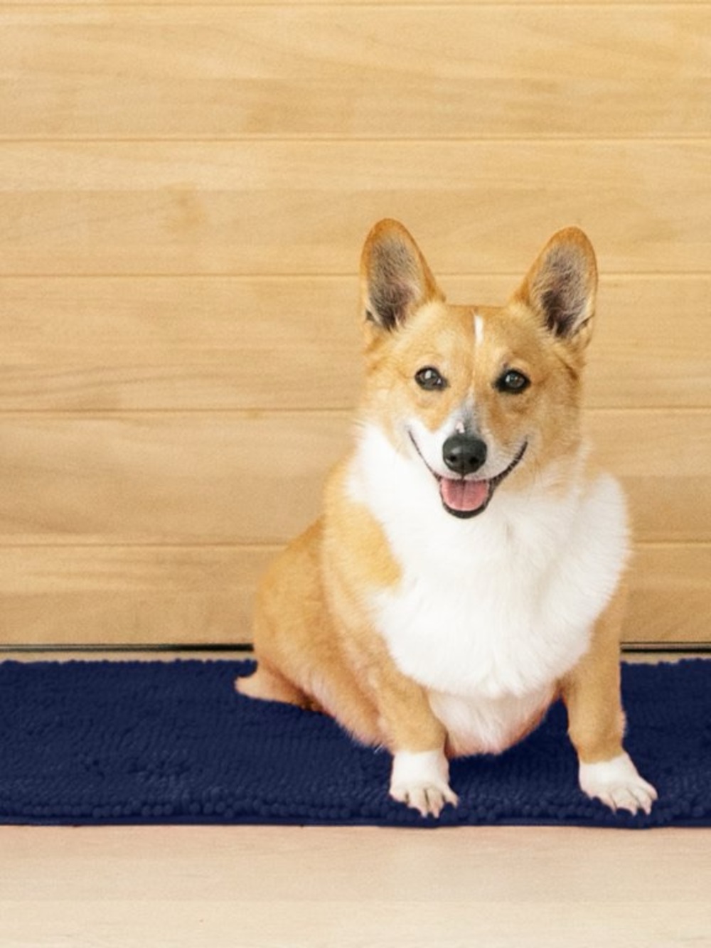 NEW My Doggy Place Dog Mat for Muddy Paws, Washable Dog Mat, Navy Blue